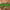 https://res.cloudinary.com/billionhands/image/upload/v1780026650/items/y4nkoo9jo30xchpjurtp.jpg-2cover