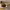 https://res.cloudinary.com/billionhands/image/upload/v1780026675/items/jek59vfer5yotrplbmbk.jpg-3cover