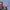 https://res.cloudinary.com/billionhands/image/upload/v1780029616/items/vmzeccxtszwcfbn4htv0.jpg-0cover