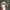 https://res.cloudinary.com/billionhands/image/upload/v1780038853/items/i5j4rmqx0os9mjr1buhe.jpg-1cover