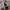 https://res.cloudinary.com/billionhands/image/upload/v1780039271/items/azms67fheycyh8wbmok3.webp-2cover
