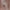 https://res.cloudinary.com/billionhands/image/upload/v1780054544/items/p9zvyeo1lorr925c3an9.jpg-0cover