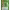 https://res.cloudinary.com/billionhands/image/upload/v1780054580/items/gnfiduq0qqpdkceqfmcw.png-1cover