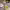 https://res.cloudinary.com/billionhands/image/upload/v1780056119/items/j6a2kz3vy3cgkj2lathc.jpg-0cover