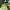 https://res.cloudinary.com/billionhands/image/upload/v1780056127/items/jeujegkvtcvwm1qst4c1.jpg-0cover