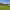 https://res.cloudinary.com/billionhands/image/upload/v1780058404/items/t1x1hop7j2n1i7jn4wj0.avif-2cover