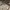 https://res.cloudinary.com/billionhands/image/upload/v1780058406/items/zateikjcz22dltvyjtwj.webp-2cover