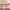 https://res.cloudinary.com/billionhands/image/upload/v1780058407/items/scbshpqtdjfcdwleilmg.jpg-3cover