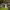 https://res.cloudinary.com/billionhands/image/upload/v1780058414/items/genco34mpbfw8qhhlggh.jpg-3cover