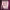Paris Texas Wine and Local Restaurant Fare cover