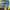 https://res.cloudinary.com/billionhands/image/upload/v1780065352/items/rrz0erlvfrkimttfj1mz.jpg-1cover