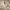 https://res.cloudinary.com/billionhands/image/upload/v1780066423/items/ia9uzckzv24hnlywvsny.jpg-0cover