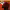 https://res.cloudinary.com/billionhands/image/upload/v1780066931/items/dpufhfh43rejpmscrond.jpg-1cover