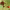 https://res.cloudinary.com/billionhands/image/upload/v1780066933/items/a8yisih8l09eukgvtclq.webp-2cover