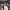 https://res.cloudinary.com/billionhands/image/upload/v1780068607/items/hahmoewuibny7r3r6tbq.webp-0cover
