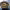 https://res.cloudinary.com/billionhands/image/upload/v1780072801/items/ddp9tpgkptxpltgi4bhr.jpg-1cover