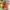 https://res.cloudinary.com/billionhands/image/upload/v1780072801/items/dky1wponvs9ekabclbuo.jpg-1cover