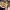 https://res.cloudinary.com/billionhands/image/upload/v1780072812/items/f61nu3xwt1fo94lnvz3q.jpg-1cover