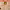 https://res.cloudinary.com/billionhands/image/upload/v1780074116/items/oozjarmgqkvdh3fdf0bq.webp-3cover