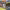 https://res.cloudinary.com/billionhands/image/upload/v1780074734/items/nci7xkphl0jxuvq1guof.avif-2cover