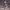 Dime que me quieres cover