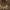 https://res.cloudinary.com/billionhands/image/upload/v1780076683/items/ygvfojof7entortpxrv8.jpg-2cover