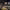https://res.cloudinary.com/billionhands/image/upload/v1780077114/items/zlxdmevpcbei6cbjxlcl.webp-1cover