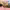 https://res.cloudinary.com/billionhands/image/upload/v1780079035/items/ycbygzfhmrt0kmq0ac14.webp-3cover