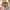 https://res.cloudinary.com/billionhands/image/upload/v1780079602/items/gbh8tdwle8fo2ixy3fre.webp-1cover