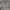 https://res.cloudinary.com/billionhands/image/upload/v1780080172/items/ban14bnhtll8s361vffl.jpg-0cover