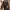 Traje de Big Daddy (serie BioShock) cover