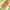 https://res.cloudinary.com/billionhands/image/upload/v1780086524/items/aap6wleyuxpfu6kol3ry.webp-3cover