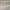 https://res.cloudinary.com/billionhands/image/upload/v1780089263/items/z8hbn4n3b8id76427xi3.jpg-0cover