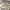 https://res.cloudinary.com/billionhands/image/upload/v1780089270/items/tsyvykyxb1zp16gslqfj.jpg-3cover