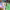 https://res.cloudinary.com/billionhands/image/upload/v1780089493/items/sqhmrb0jw7ekslgkjmki.png-0cover