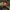 https://res.cloudinary.com/billionhands/image/upload/v1780098311/items/wc2celygp2rtjkizu1x5.jpg-0cover