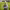 https://res.cloudinary.com/billionhands/image/upload/v1780098317/items/dh43sw4ynazjpdav2bu7.jpg-3cover
