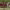 https://res.cloudinary.com/billionhands/image/upload/v1780100428/items/xqxinrne2hecctsljsyc.jpg-3cover