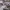 https://res.cloudinary.com/billionhands/image/upload/v1780104516/items/szjqlezv1z9ll5qpt9oe.webp-3cover