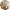 https://res.cloudinary.com/billionhands/image/upload/v1780109004/items/axgen8772tbbznkq3hxd.png-2cover