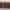 https://res.cloudinary.com/billionhands/image/upload/v1780112643/items/irhhvec9zm4rd2vk01vo.webp-3cover