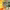 https://res.cloudinary.com/billionhands/image/upload/v1780112852/items/gfeoqxefixv2fbw1ca5a.jpg-0cover