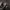 https://res.cloudinary.com/billionhands/image/upload/v1780113123/items/tgmrpmfix394whlna7vd.jpg-3cover