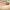 https://res.cloudinary.com/billionhands/image/upload/v1780113808/items/irarmjbzmg25oxusscle.jpg-2cover
