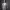 https://res.cloudinary.com/billionhands/image/upload/v1780115495/items/dsdciysgrb26wogbbsnv.jpg-2cover