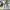 https://res.cloudinary.com/billionhands/image/upload/v1780119290/items/l3otspj0cpcxnmcgp0zy.webp-2cover
