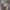 https://res.cloudinary.com/billionhands/image/upload/v1780120976/items/srndruhf4lohbc44cblc.jpg-2cover