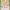 Zatch Bell cover