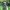 https://res.cloudinary.com/billionhands/image/upload/v1780131386/items/helg5yv4yw7an5icnc5b.jpg-0cover