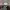 Trinity Lutheran Church Advent Concert (Ogden, Utah) (2026) cover